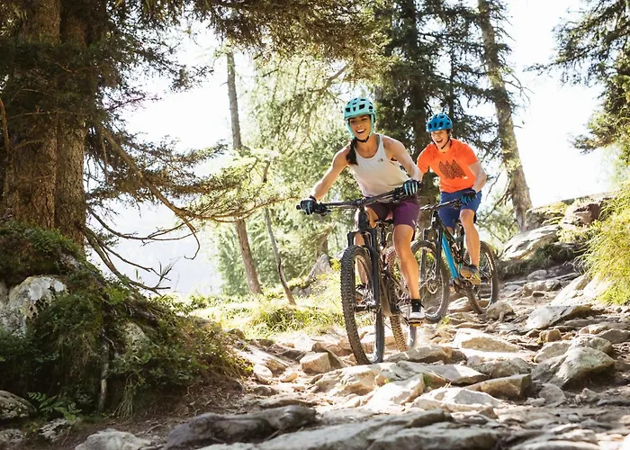 Appartement Mamalisl Mittersill